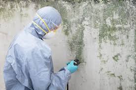 Best Comprehensive Air Testing for Mold Contaminants  in Coleytown, CT